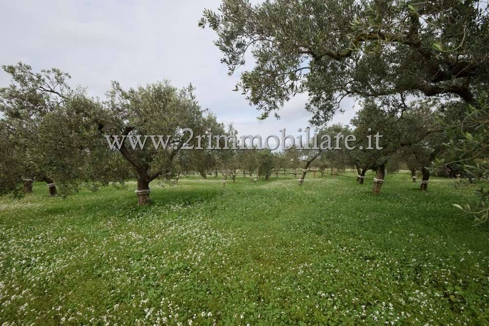 Terreno a Mazara del vallo in Via Giuffo - Foto 3