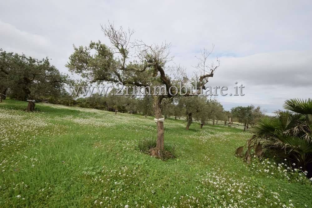 Terreno a Mazara del vallo in Via Giuffo - Foto 4