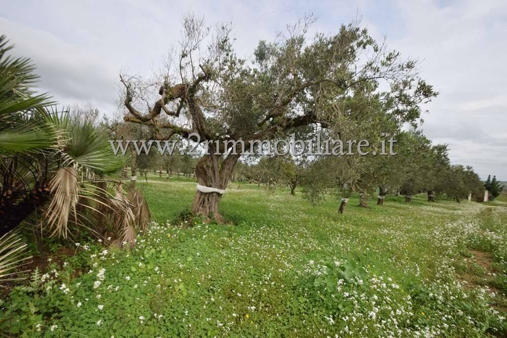 Terreno a Mazara del vallo in Via Giuffo - Foto 5