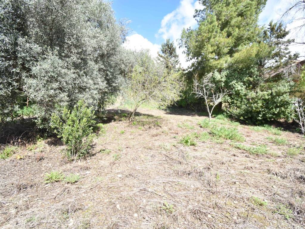Terreno a Iglesias in Vicolo Secondo Vergine Maria - Foto 3
