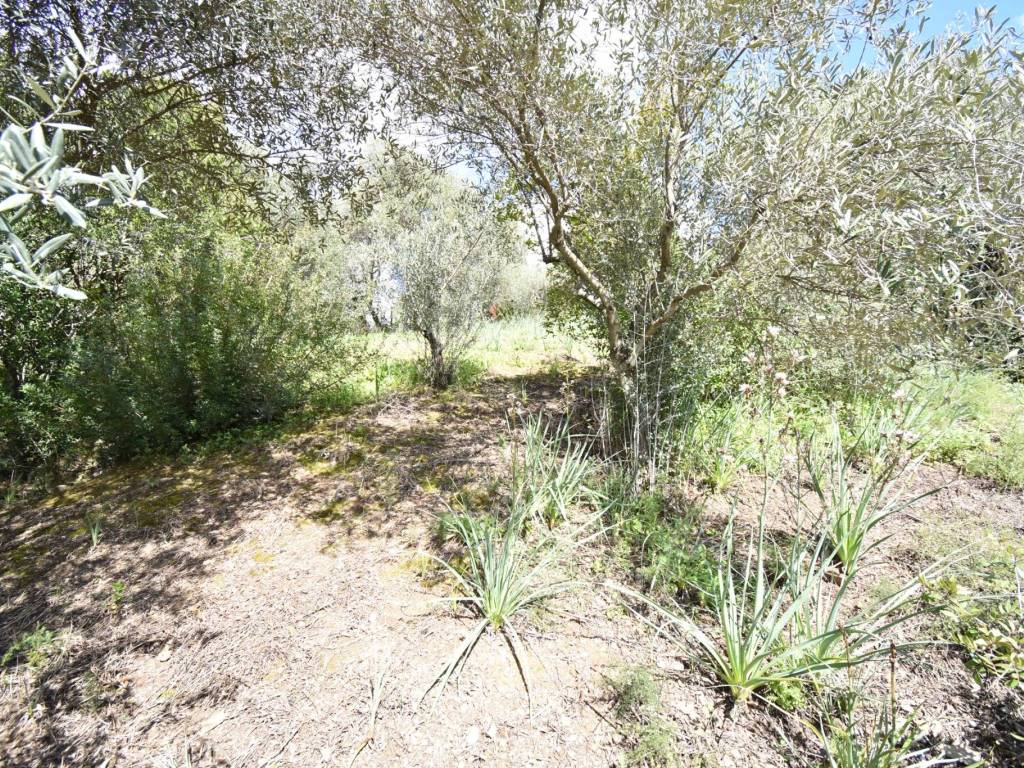 Terreno a Iglesias in Vicolo Secondo Vergine Maria - Foto 5