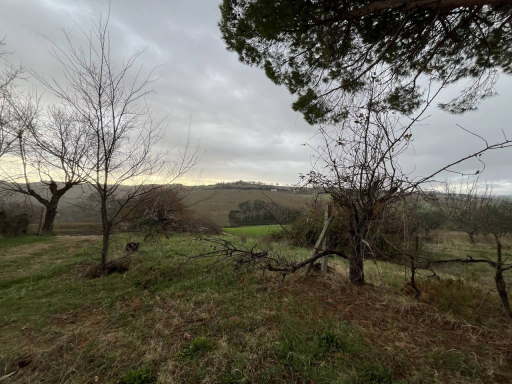 Casa indipendente a Senigallia - Foto 3