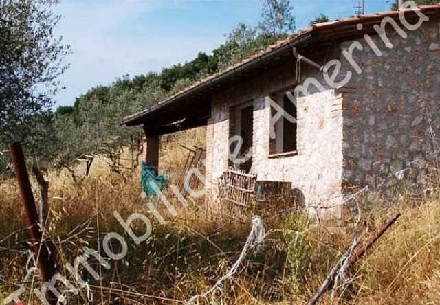 Rustico / casale a Amelia - Foto 2