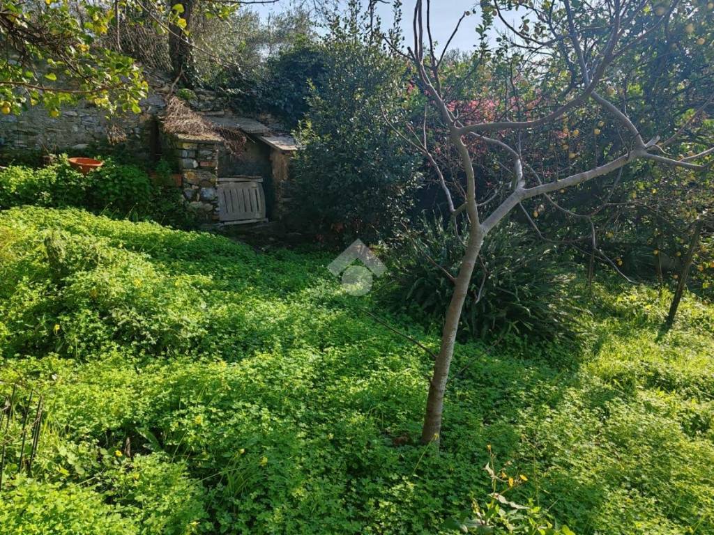Villa a Rapallo in Via dei Pitosfori - Foto 2
