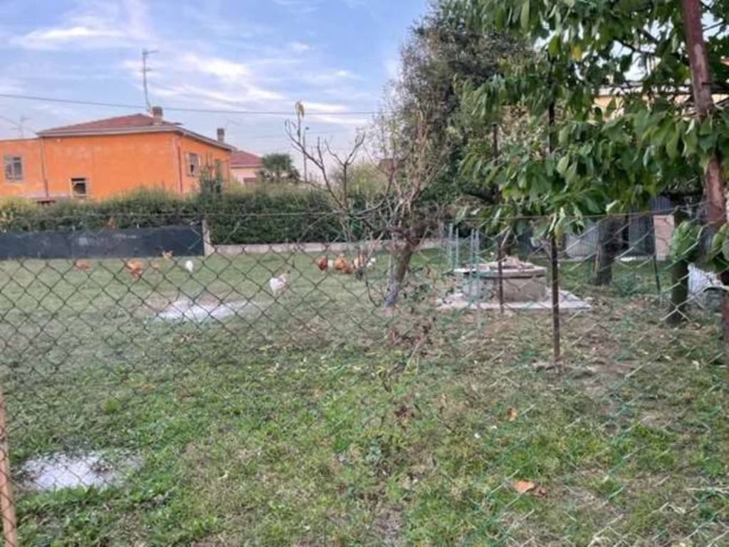 Terreno a Mirandola - Foto 2