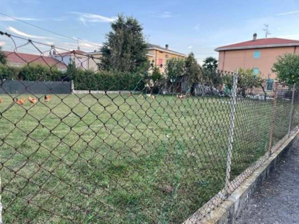 Terreno a Mirandola - Foto 4
