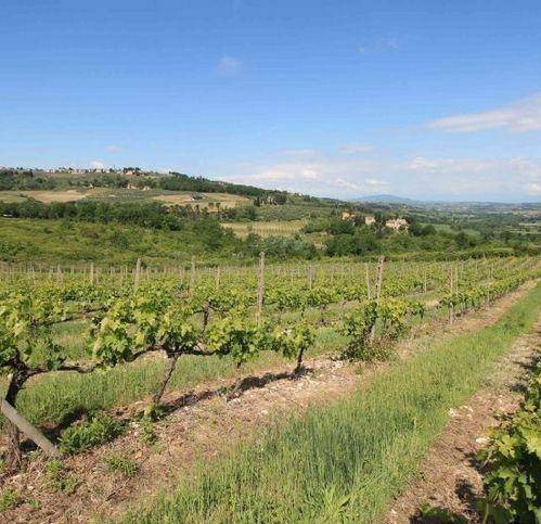 Rustico / casale a Montespertoli - Foto 4