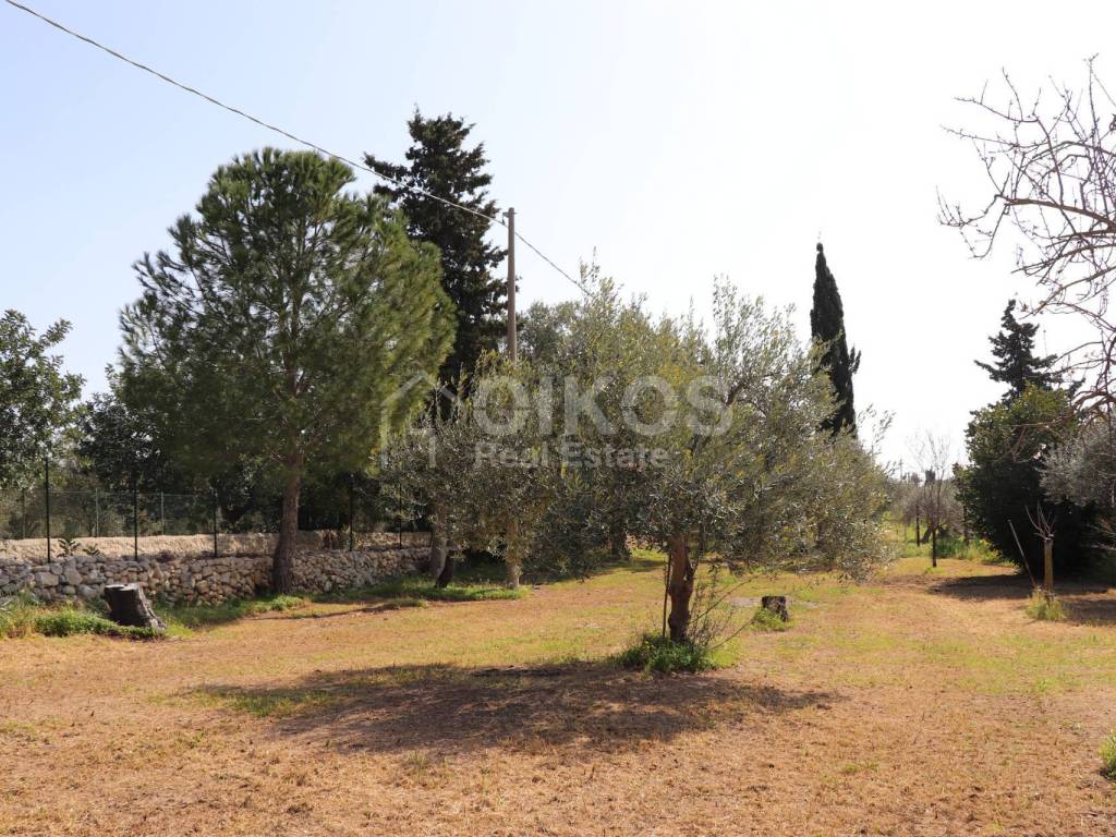 Terreno a Noto in C.da Volpiglia - Foto 4
