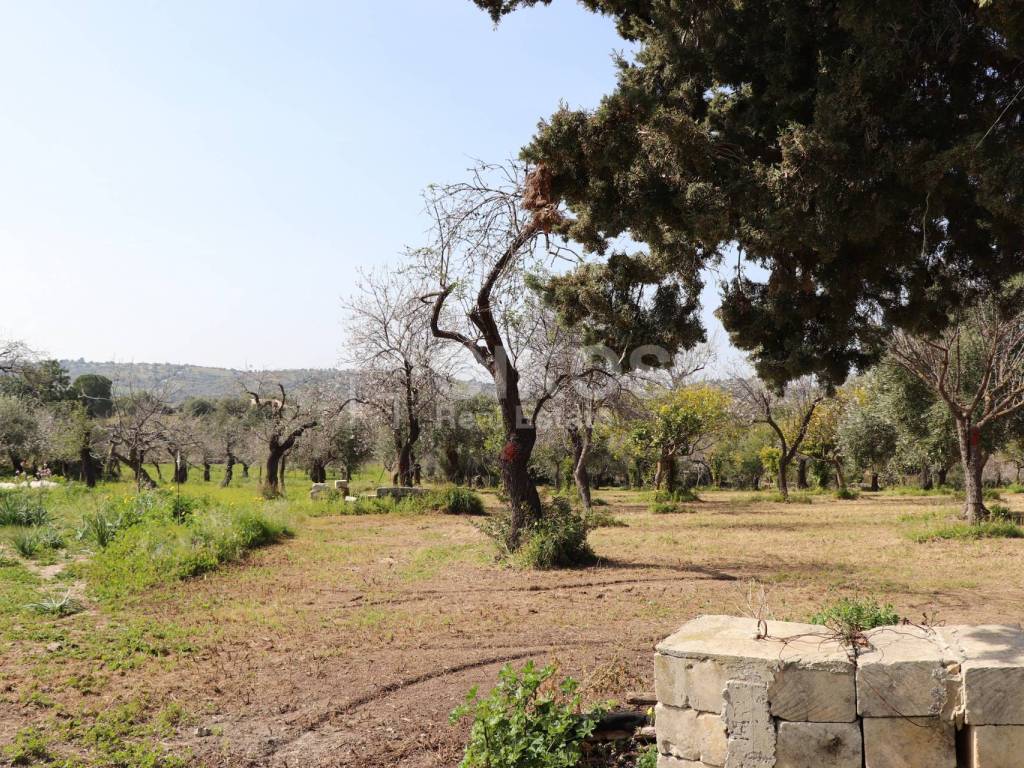 Terreno a Noto in C.da Volpiglia - Foto 5