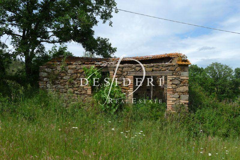 Terreno a Castiglione della pescaia - Foto 2