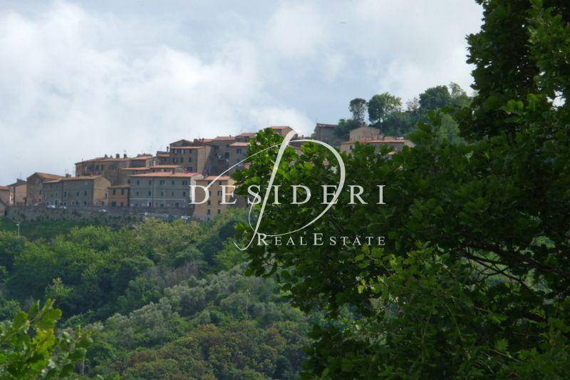 Terreno a Castiglione della pescaia - Foto 3
