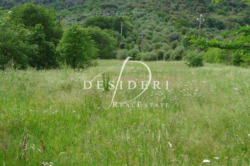 Terreno a Castiglione della pescaia - Foto 5