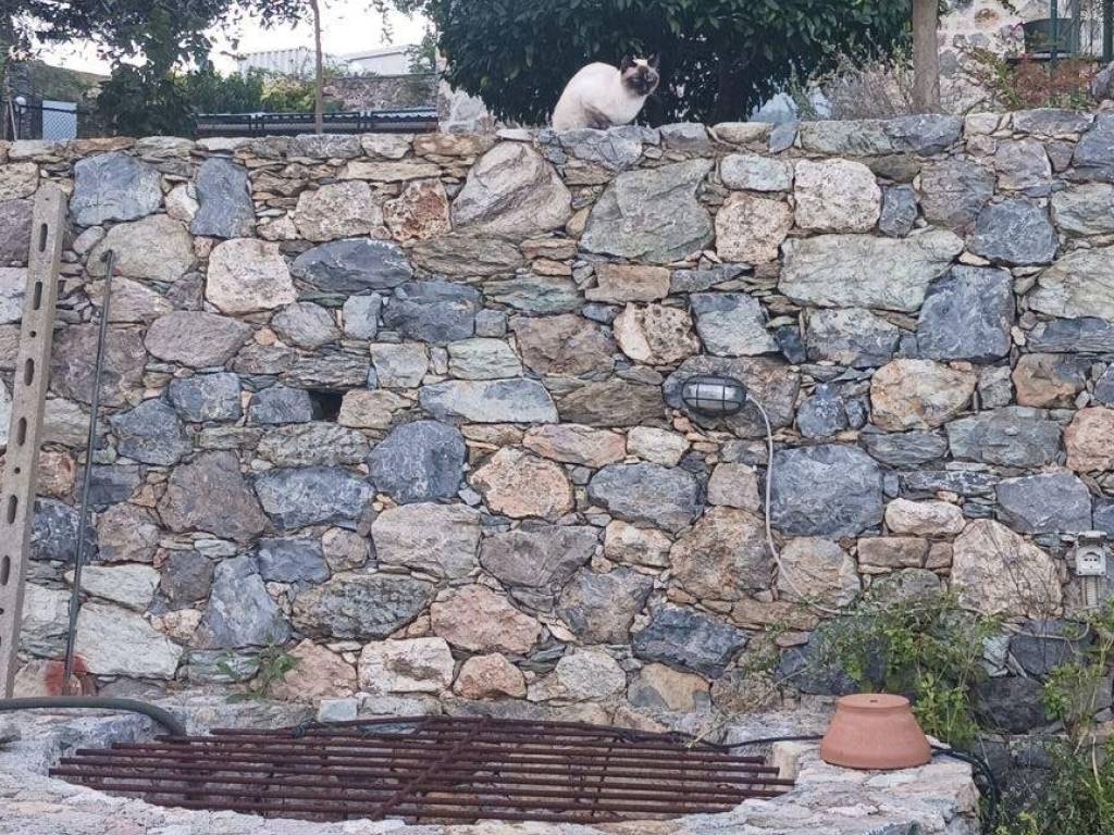 Appartamento a Noli - Foto 2