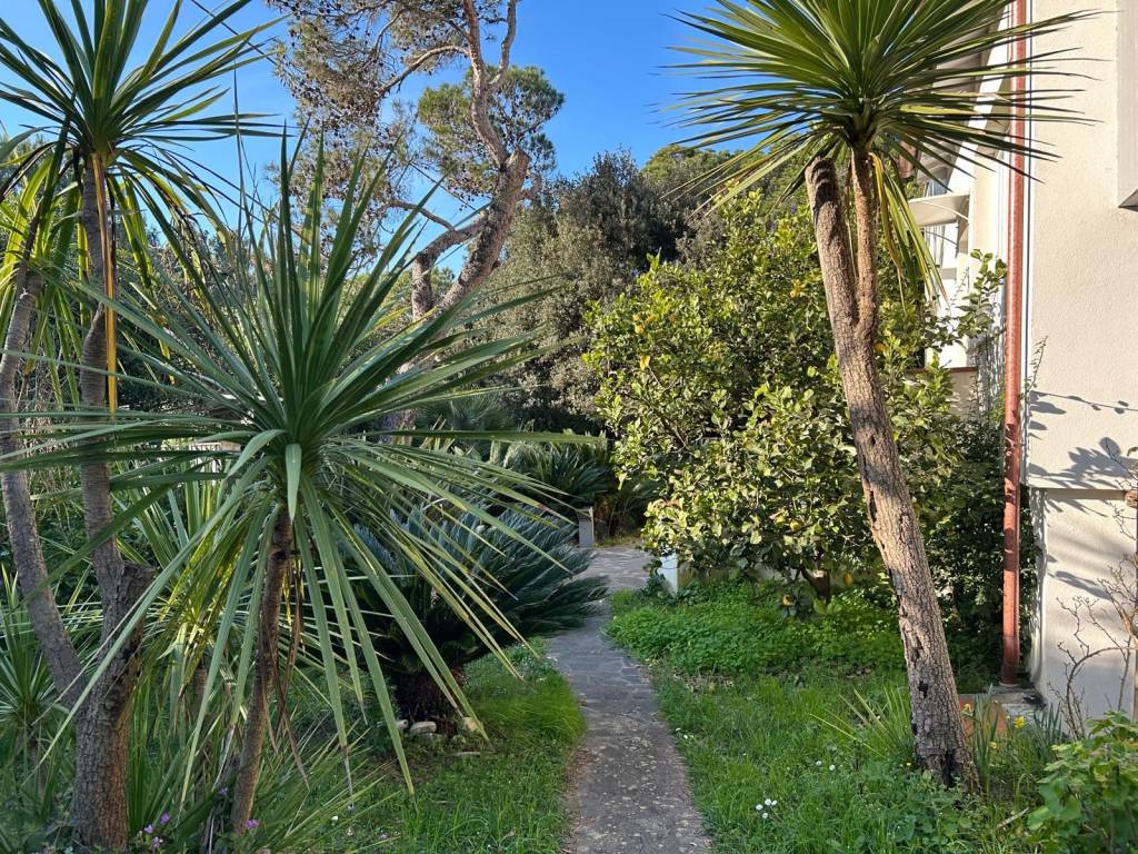 Villa a Rosignano marittimo in Via Aurelia, 880 - Foto 4