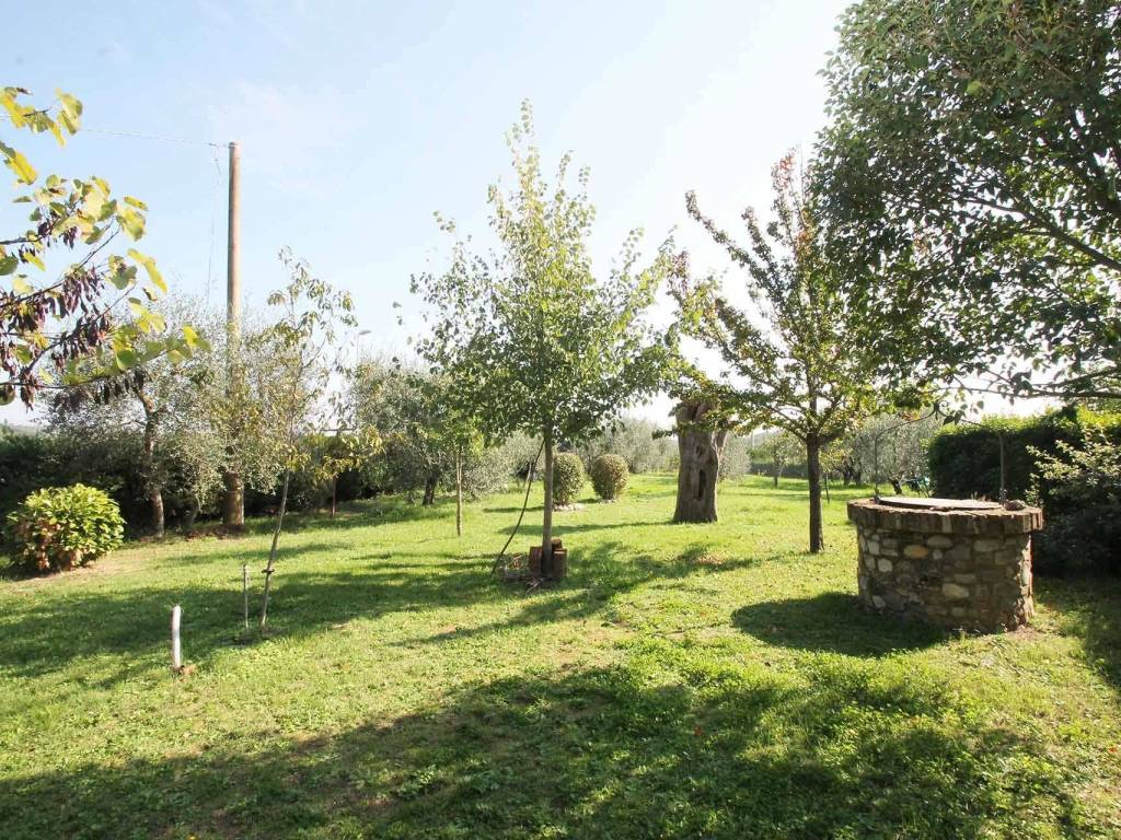 Casa indipendente a Castelnuovo berardenga - Foto 4
