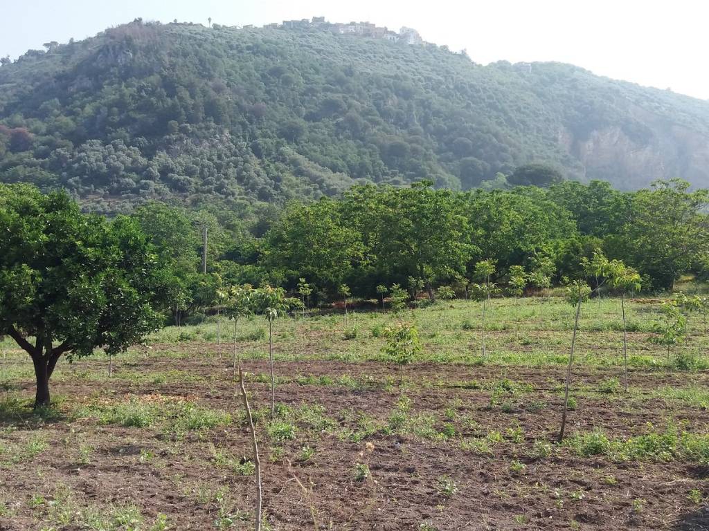 Terreno a Palma campania in Via Aiello - Foto 1