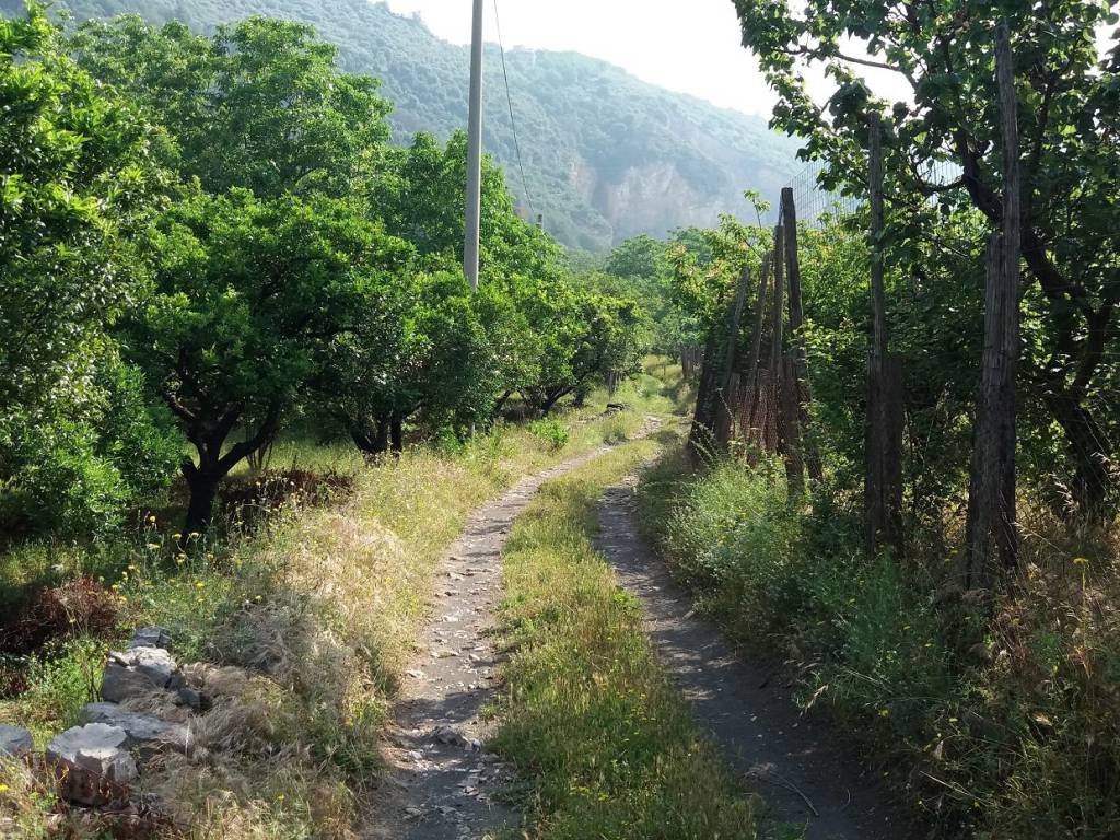 Terreno a Palma campania in Via Aiello - Foto 3