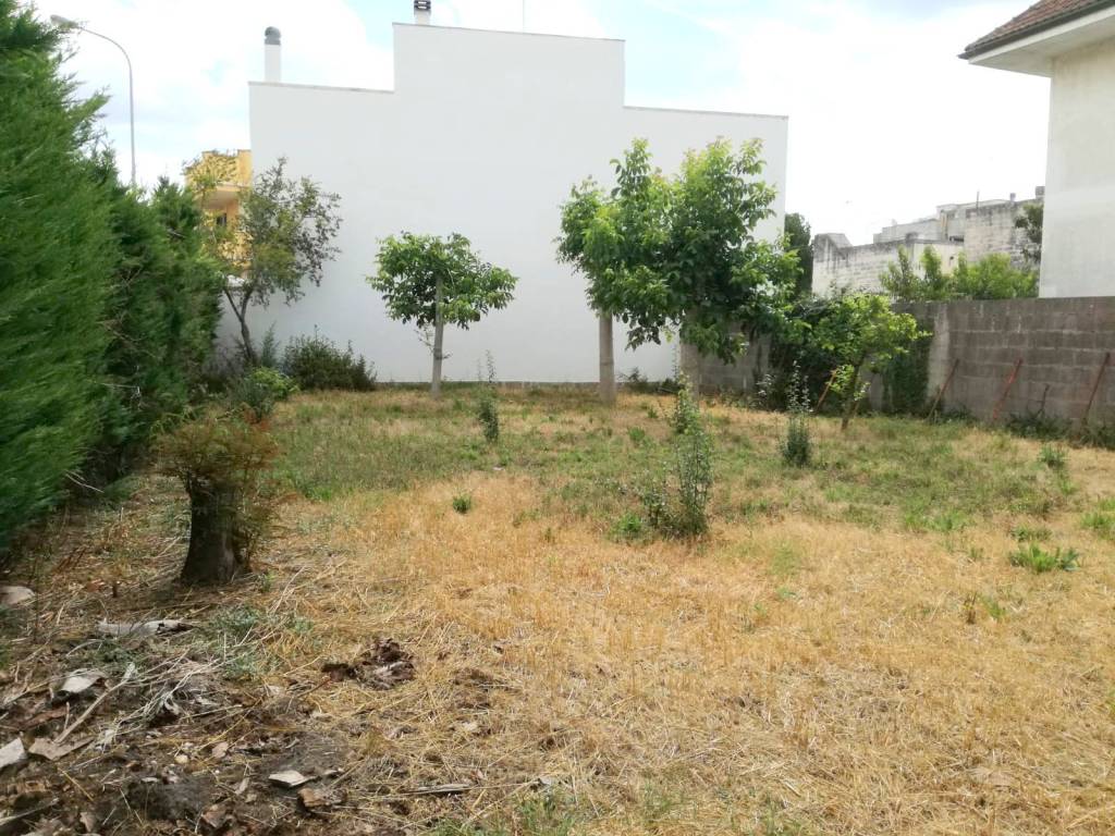 Terreno a Poggiardo in Via Gorizia - Foto 3
