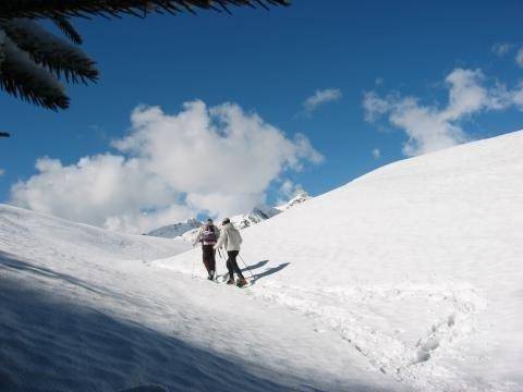 Immobile a Giustino - Foto 4
