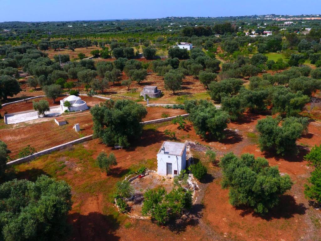 Rustico / casale a Carovigno in SS16 - Foto 3