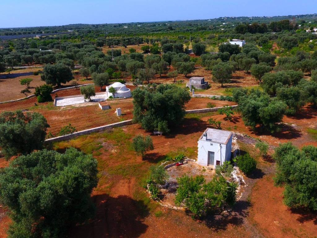 Rustico / casale a Carovigno in SS16 - Foto 4