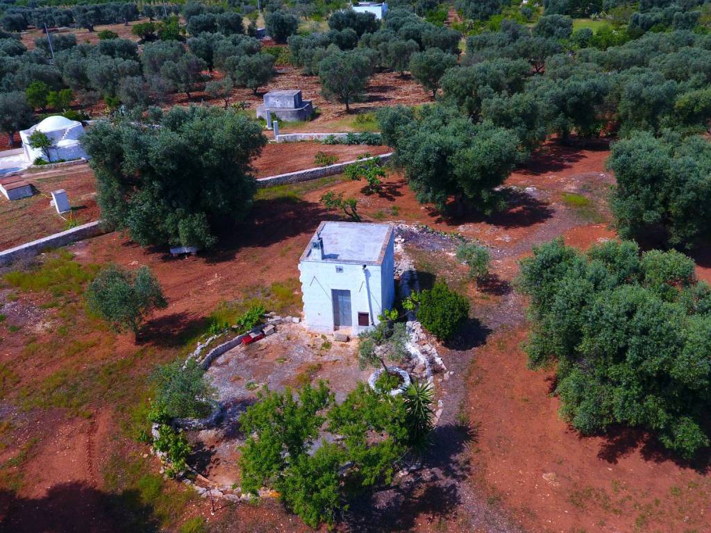 Rustico / casale a Carovigno in SS16 - Foto 5