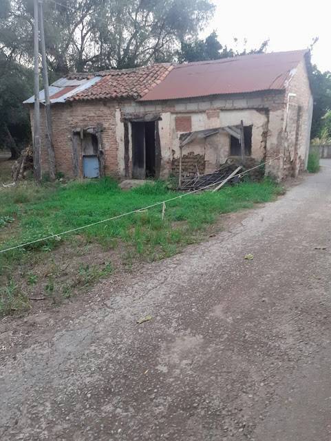 Terreno a Cittanova in Contrada San Pietro - Foto 2