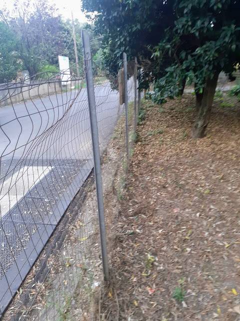 Terreno a Cittanova in Contrada San Pietro - Foto 3