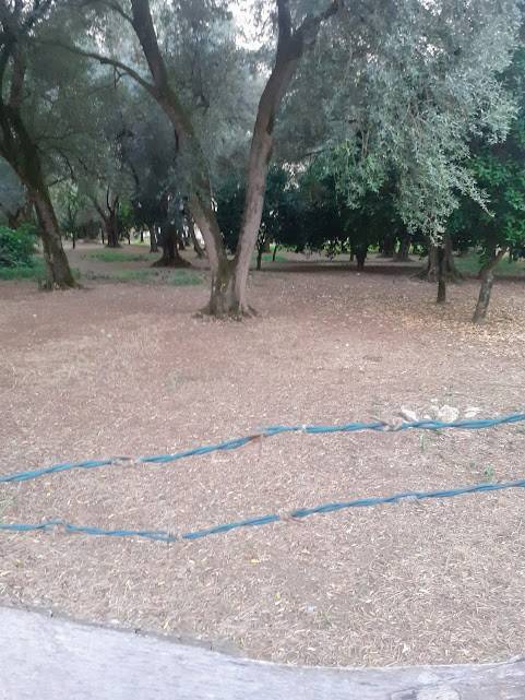 Terreno a Cittanova in Contrada San Pietro - Foto 4