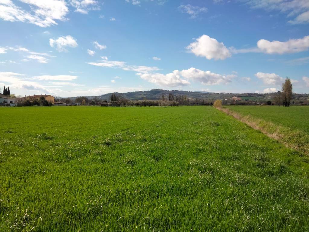 Terreno a Foligno in Via Monte Cologna - Foto 3