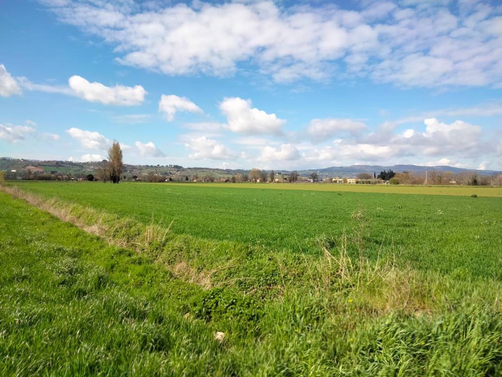 Terreno a Foligno in Via Monte Cologna - Foto 4