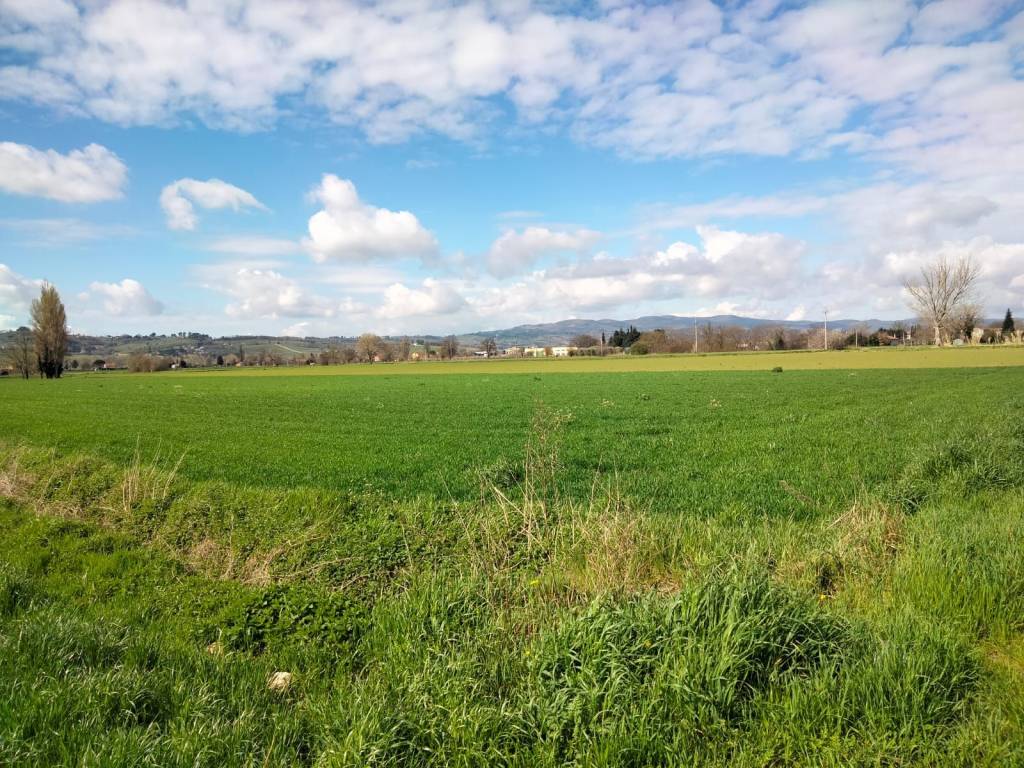 Terreno a Foligno in Via Monte Cologna - Foto 5