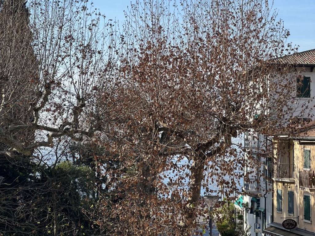 Appartamento a Garda in Via Verona - Foto 2