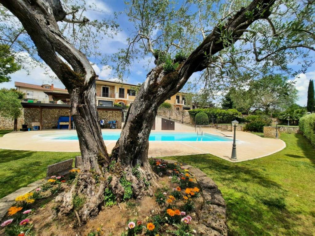 Villa a Calvi in Via Mirra Piano Colonna - Foto 2