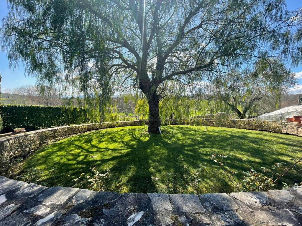 Villa a Calvi in Via Mirra Piano Colonna - Foto 4