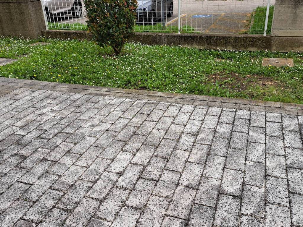 Appartamento a Rovigo - Foto 3