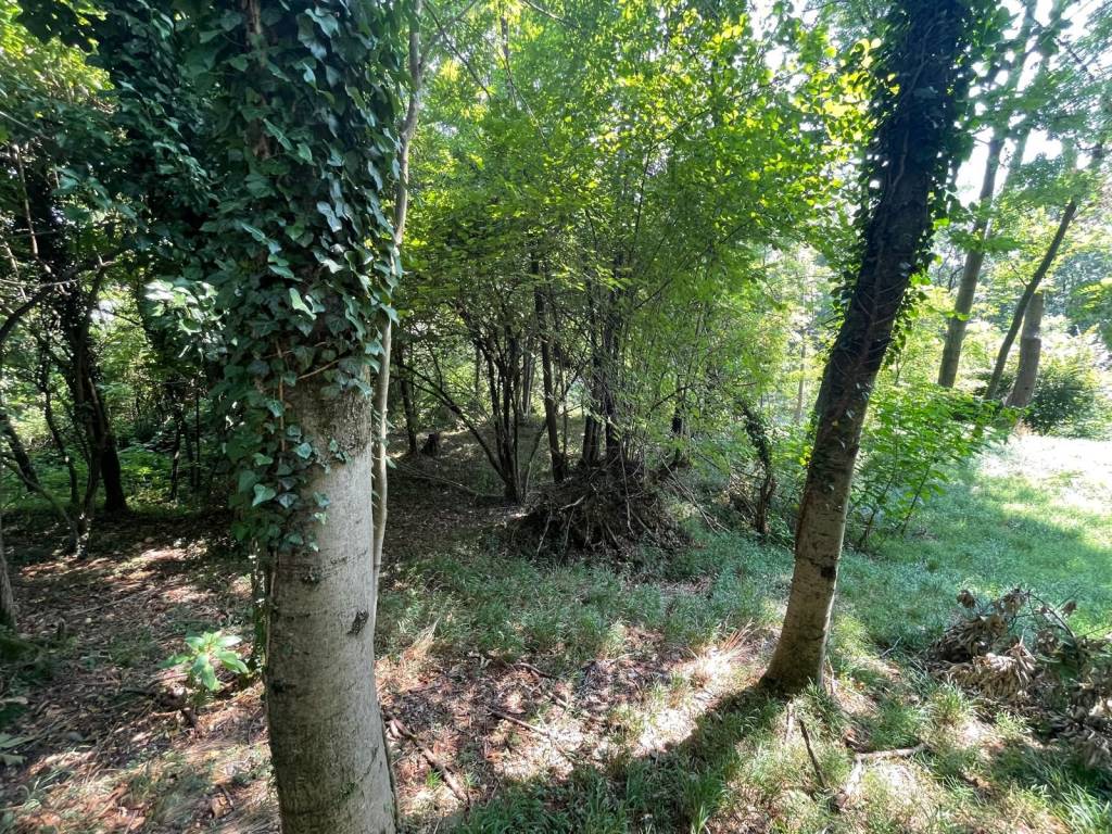 Terreno a Annone di brianza in Via Provinciale - Foto 4
