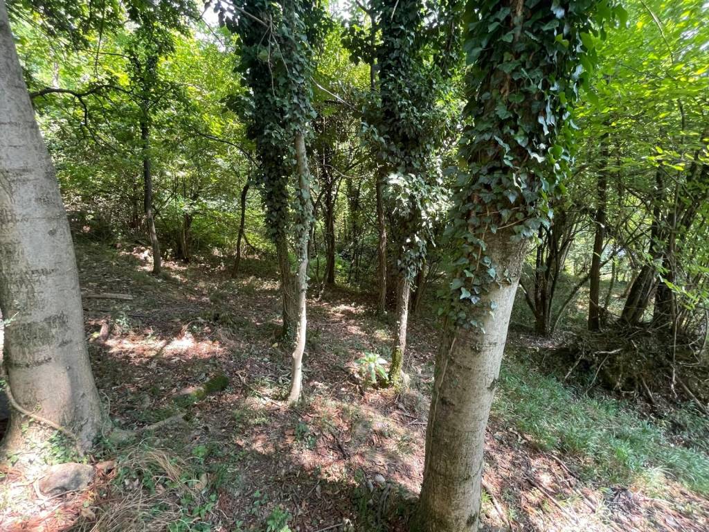 Terreno a Annone di brianza in Via Provinciale - Foto 5
