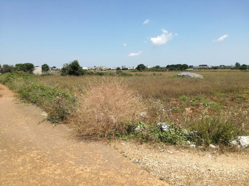 Terreno a Surano - Foto 3