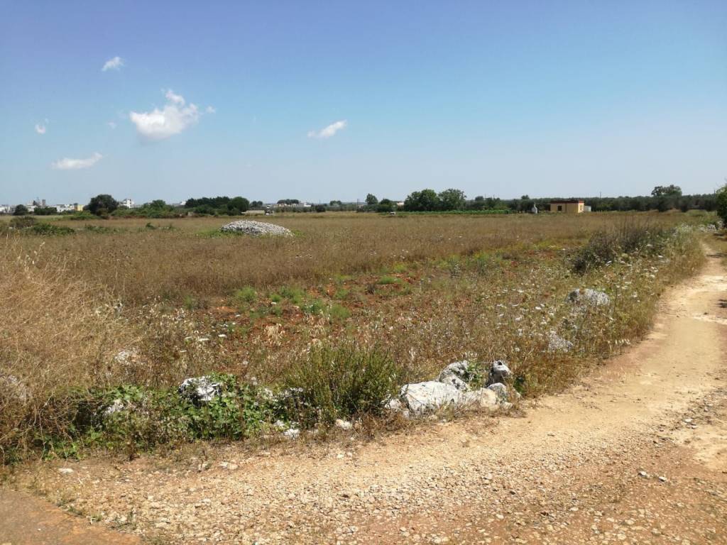 Terreno a Surano - Foto 4