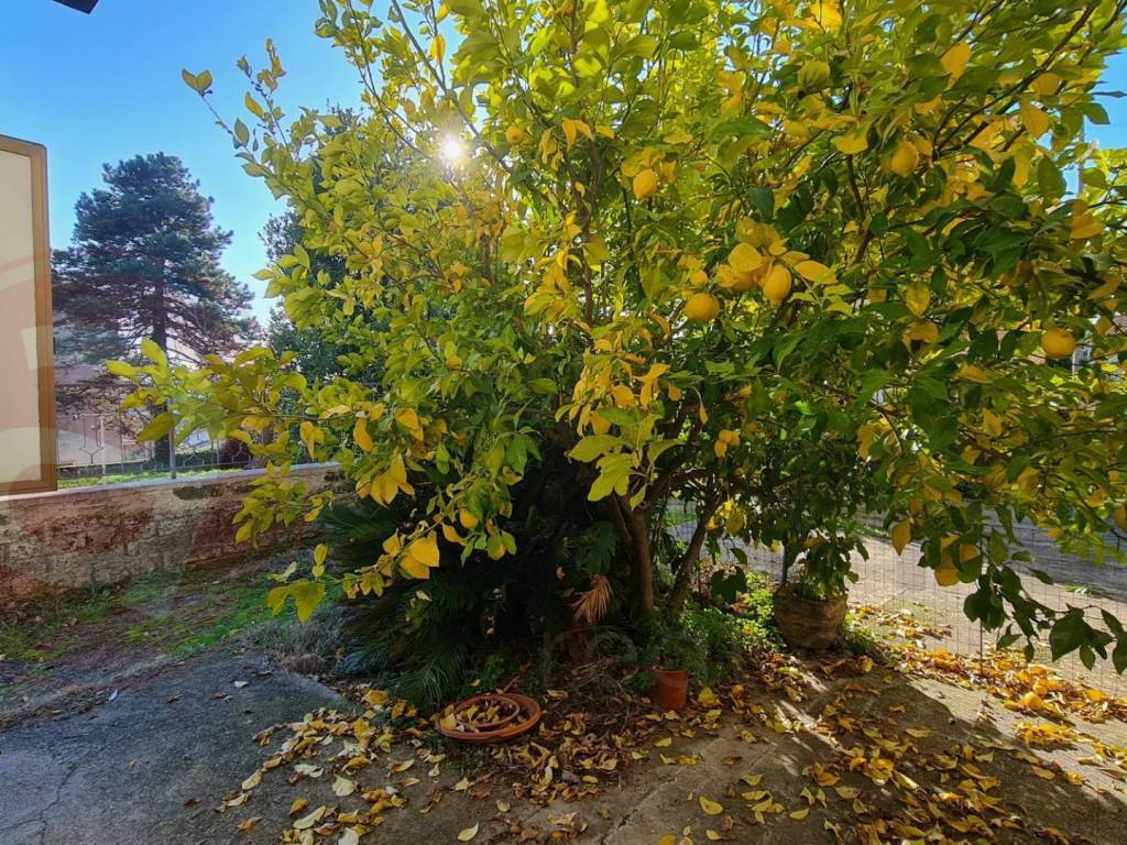 Palazzo / stabile a Monte san giovanni campano in Via Casanuova, 11 - Foto 5