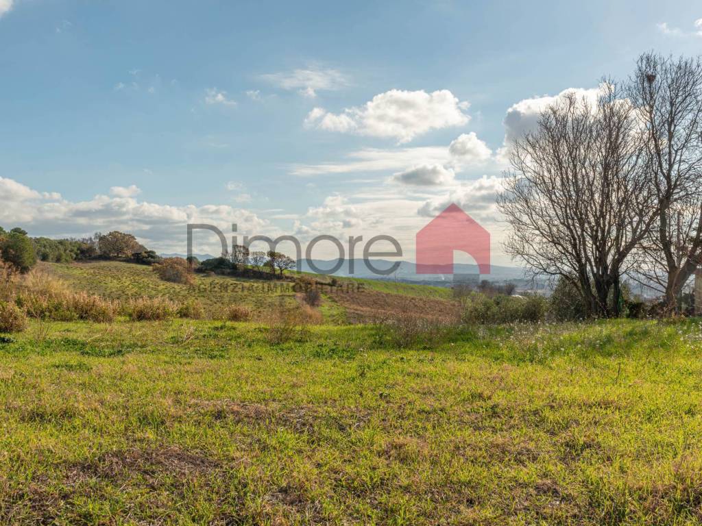 Terreno a Tarquinia in Loc. Bandita San Pantaleo - Foto 2