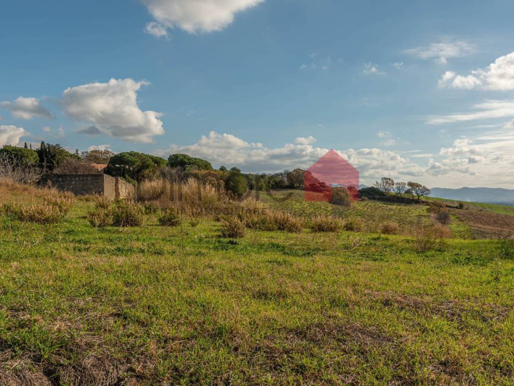 Terreno a Tarquinia in Loc. Bandita San Pantaleo - Foto 3