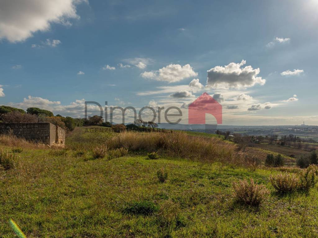 Terreno a Tarquinia in Loc. Bandita San Pantaleo - Foto 5