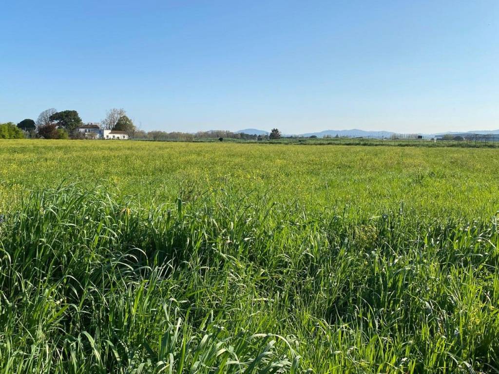 Terreno a Riccione in Via Flaminia - Foto 3
