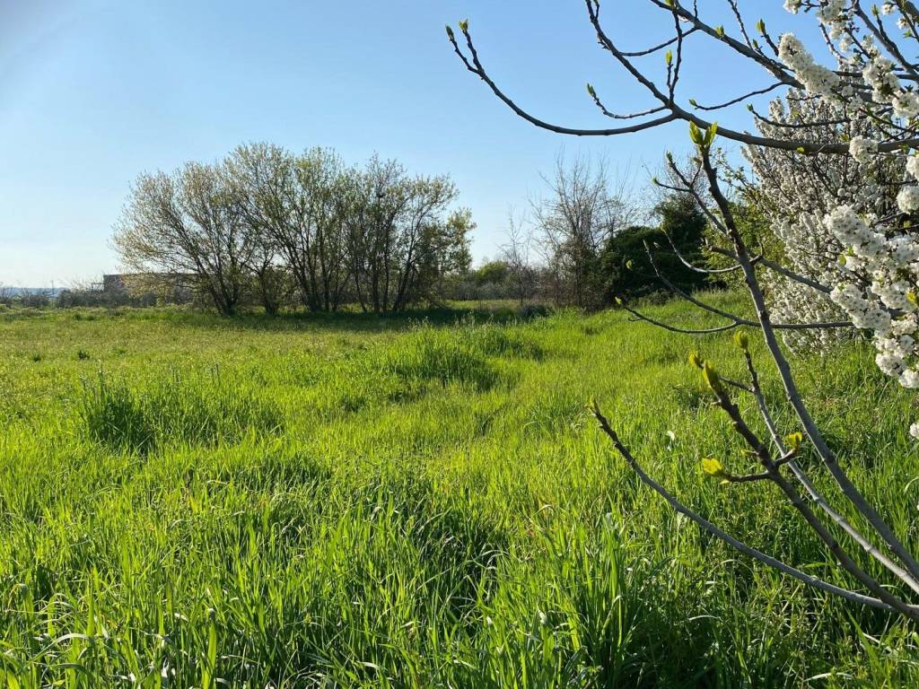 Terreno a Riccione in Via Flaminia - Foto 4