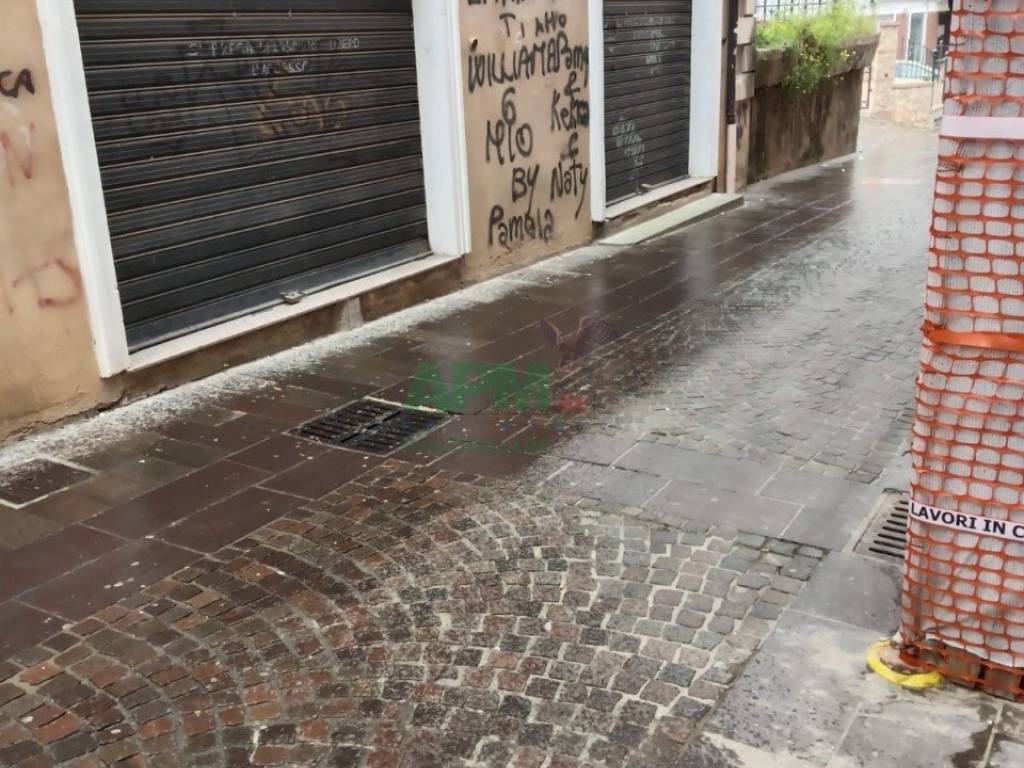 Immobile a Cosenza in VIA NEGHELLI, 10 - Foto 2