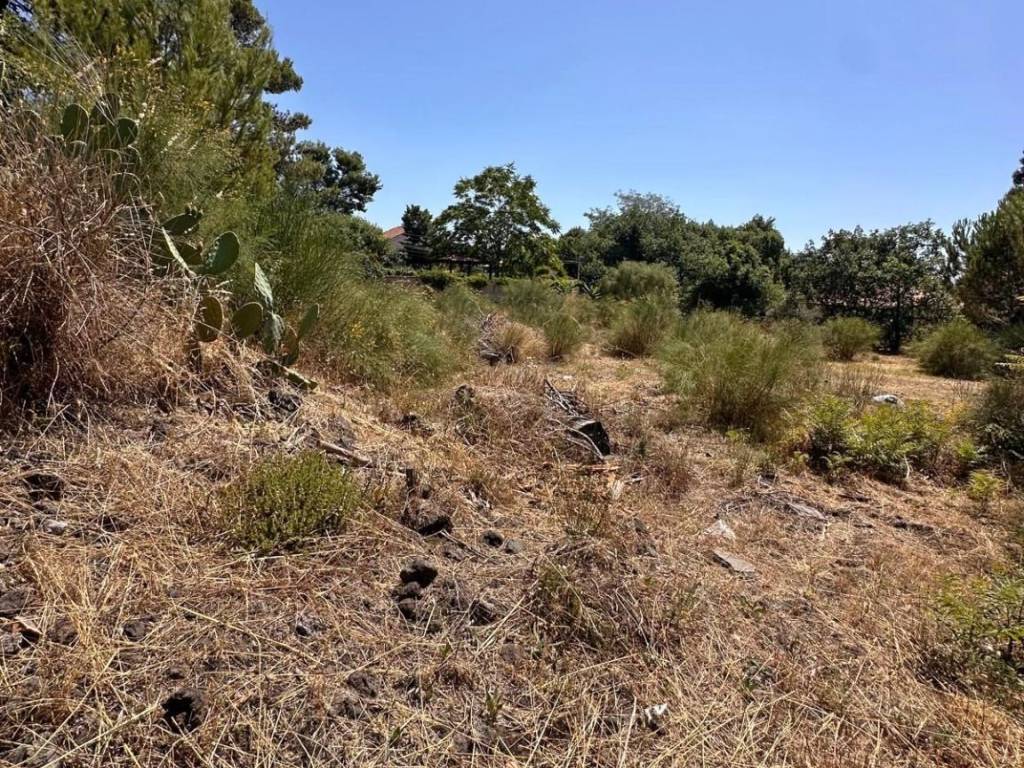 Terreno a Pedara in Via Tarderia - Foto 4