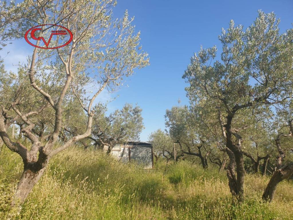 Terreno a Cavriglia in Via Chiantigiana - Foto 3