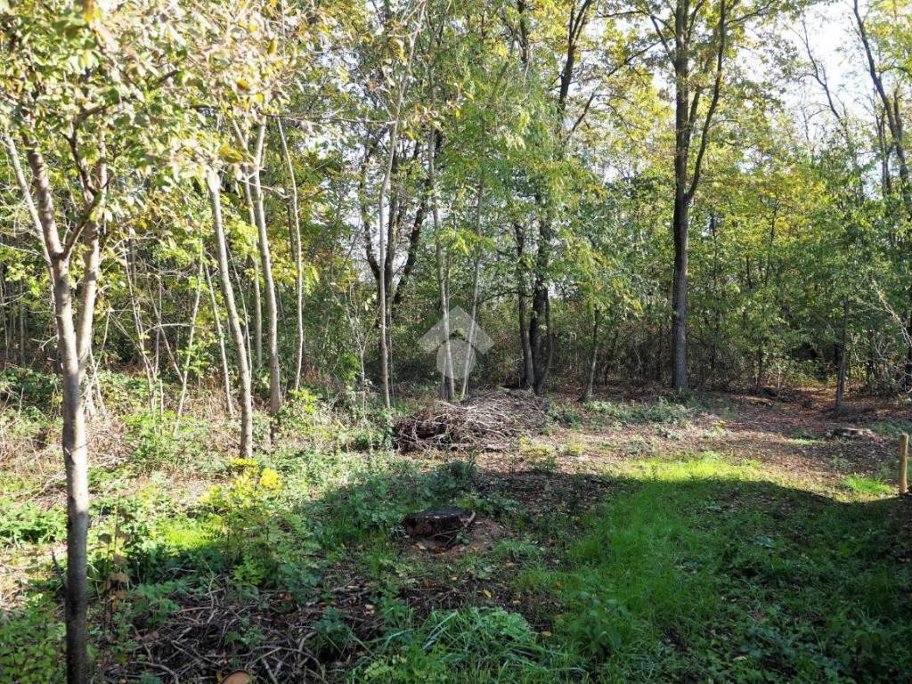 Terreno a Gattinara in Via Santhià - Foto 3